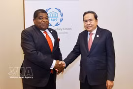 越南国会主席陈青敏会见各国议会联盟秘书长马丁·纯贡。图自越通社