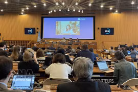 联合国教科文组织执行局第224届会议场景。图自越通社