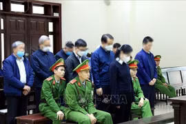 福山集团案被告人。图自越通社