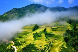 资料图：参赛者有机会领略沙坝山径的原始魅力。图自越通社