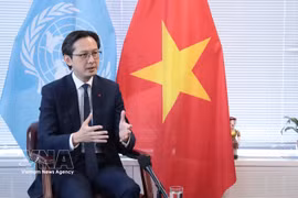 越南常驻联合国代表团团长、大会候任主席杜雄越大使向国际媒体记者介绍本次大会相关信息。图自越通社