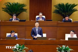 越南政府副总理黎长龙在国会全体会议上发表讲话。图自越通社