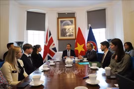 越南驻英大使杜明雄在座谈会上发表讲话。图自越通社