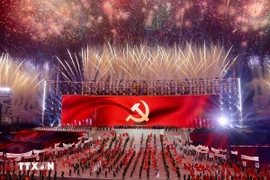 璀璨烟花照亮夜空，宛如一曲壮丽的交响，庆祝越共十四大的成功，开启越南繁荣、富强、幸福的国家发展新纪元。图自越通社