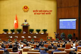 国会表决通过《引渡法》。图自越通社