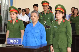 被告人石氏花璃在法庭上受审。图自越通社