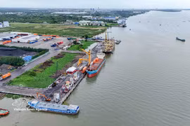预计自2026年9月起，九龙江三角洲农产品将从菜翠港（Cái Cui）直接出口至中国广西。图自越通社 