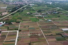 资料图。图自越通社