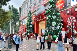 胡志明市圣诞节气氛不仅体现在教堂和每户家庭之中，更弥漫在大街小巷和社区生活的每一个角落。图自《政府报》