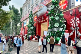 胡志明市圣诞节气氛不仅体现在教堂和每户家庭之中，更弥漫在大街小巷和社区生活的每一个角落。图自《政府报》