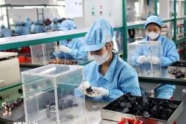 出口的电子元器件生产链。图自越通社