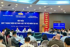 研讨会场景。图自越通社