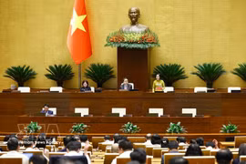 国会副主席阮氏青主持会议。图自越通社