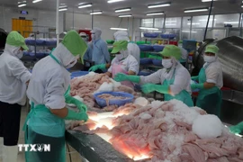 资料图。图自越通社