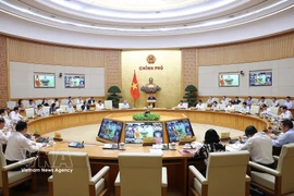 越南政府3月份例行会议和政府与各地方视频会议。图自越通社