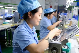 加工制造业新获批外资规模最大，注册资本达70.7亿美元，占新增注册资本总额的69%。图自越通社