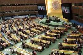 美国纽约时间10月14日，联合国大会在联合国总部选举2026-2028年任期的联合国人权理事会成员国。图自越通社