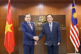 越南国会主席陈青敏与马来西亚上议院总部同马来西亚国会上议院议长阿旺比米。图自越通社
