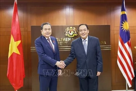 越南国会主席陈青敏与马来西亚上议院总部同马来西亚国会上议院议长阿旺比米。图自越通社