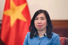 越南外交部副部长黎氏秋姮。图自互联网