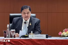 印尼经济统筹部部长艾尔朗加·哈塔尔托。图自越通社
