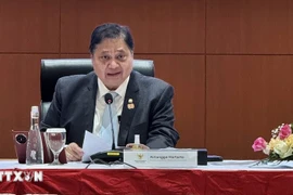 印尼经济统筹部部长艾尔朗加·哈塔尔托。图自越通社