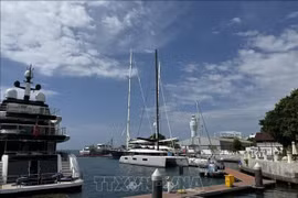 印度尼西亚伯诺阿（Benoa）港。图自越通社