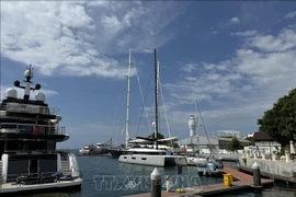 印度尼西亚伯诺阿（Benoa）港。图自越通社