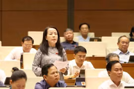 代表们在会上进行讨论。图自越通社