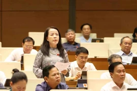 代表们在会上进行讨论。图自越通社