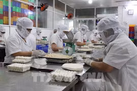 资料图。图自越通社