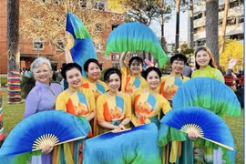 越南大学生的表演节目给观众留下深刻印象。图自越通社