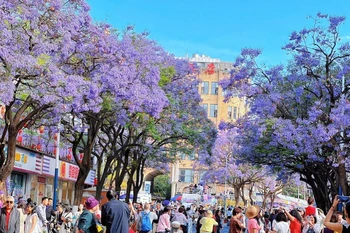 附图。图自https://vnexpress.net/