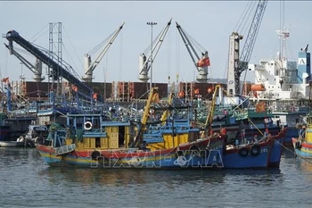 附图。图自越通社