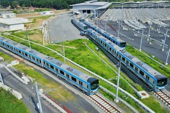 附图。图自青年报