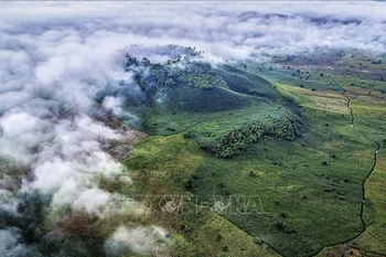 鸟瞰南布朗火山。图自越通社