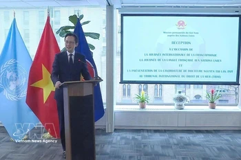 越南常驻联合国代表团团长杜雄越大使在活动上致辞。图自越通社