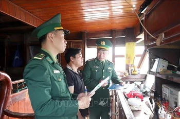 边防部队加强巡逻检查，及时发现、打击和遏制违规行为。图自越通社