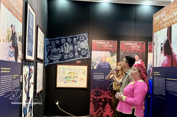 “在云端播绿”展览在河内市李常杰街36号越南妇女博物馆开幕。图自越通社