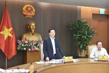越南政府副总理梅文政发表讲话。图自越南政府门户网站