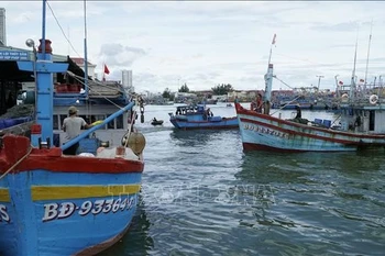 渔船进出归仁渔港。图自越通社