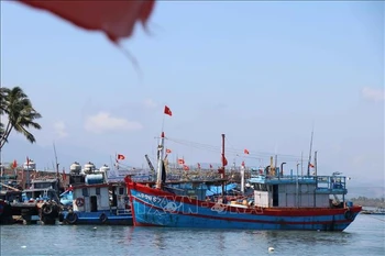 附图。图自越通社