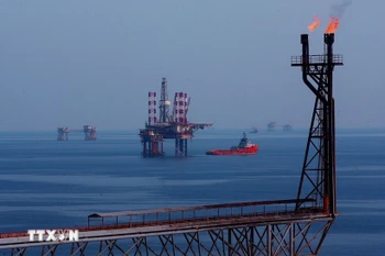 白虎油田上的各座钻井平台。图自越通社