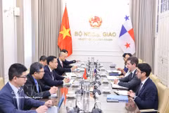 2026年7月28日，越南外交部副部长邓黄江与巴拿马外交部副部长卡洛斯·A·霍沃斯（Carlos A. Hoyos）共同主持了越南与巴拿马第二次政治磋商。图自越通社