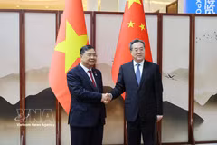 越南政府常务副总理范家足（左）与中国国务院副总理丁薛祥。图自越通社