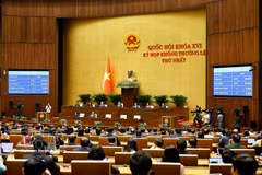 国会通过关于成立广宁市和北宁市的决议。图自越通社