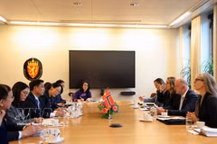 越南国会副主席阮尹英与挪威议会第一副议长莫滕·斯托达伦举行会谈。图自越通社