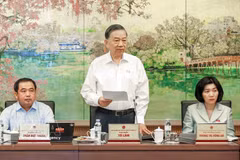 越共中央总书记、国家主席苏林发表意见。图自越通社