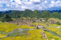 越南绿意盎然、体验丰富的社区旅游村