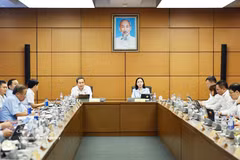 越南国会主席陈青敏发表意见。图自越通社